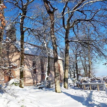 Gite "Le Platane" 45 M2 - Climatise Monswiller Zewnętrze zdjęcie