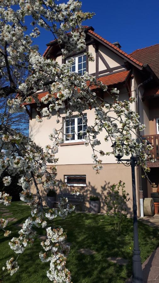 Gite "Le Platane" 45 M2 - Climatise Monswiller Zewnętrze zdjęcie