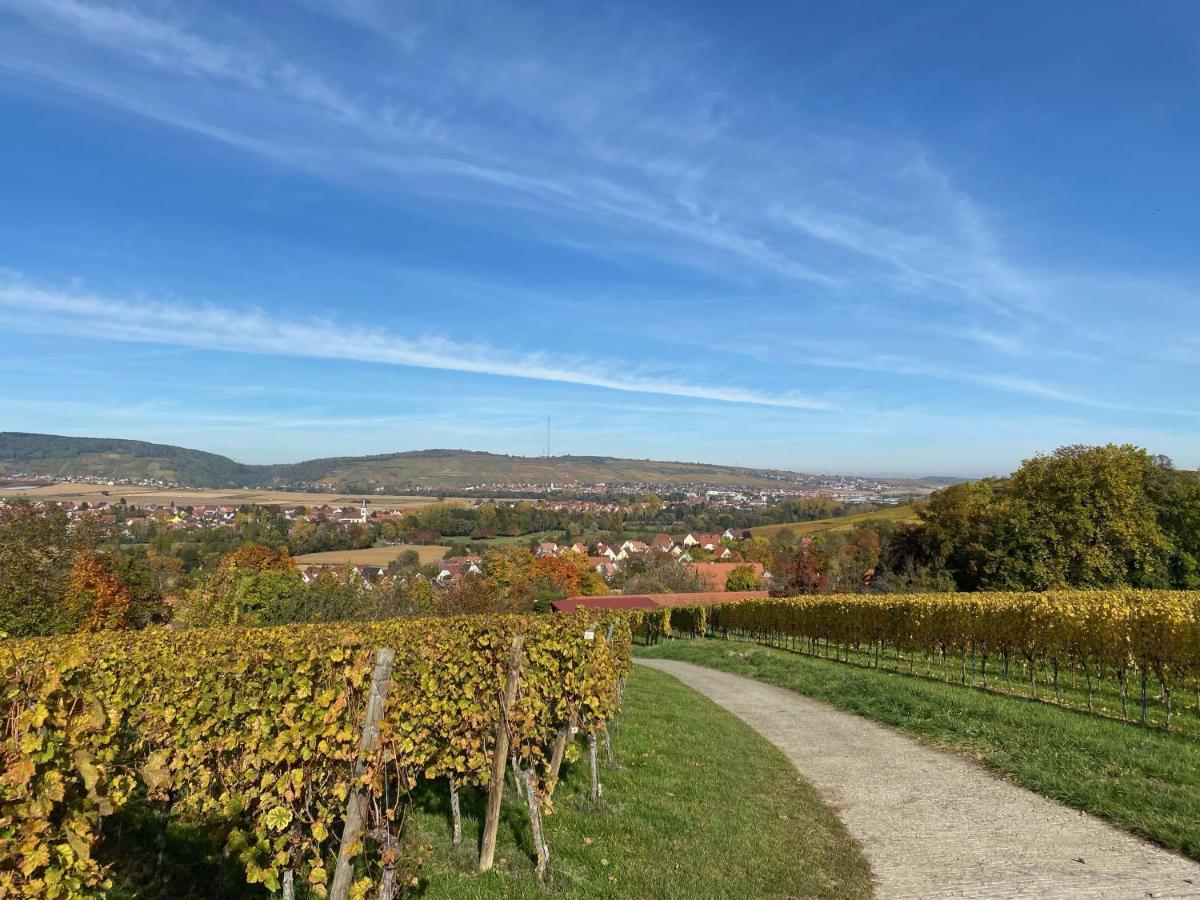 Gite "Le Platane" 45 M2 - Climatise Monswiller Zewnętrze zdjęcie
