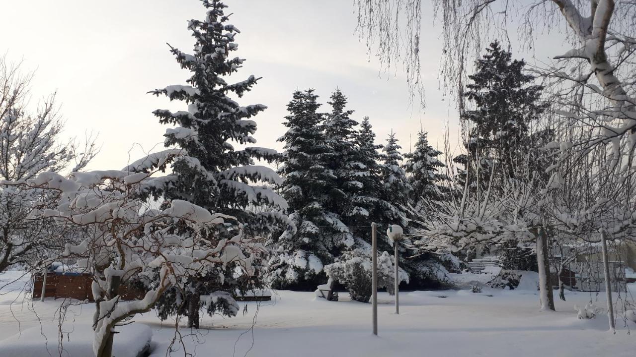 Gite "Le Platane" 45 M2 - Climatise Monswiller Zewnętrze zdjęcie