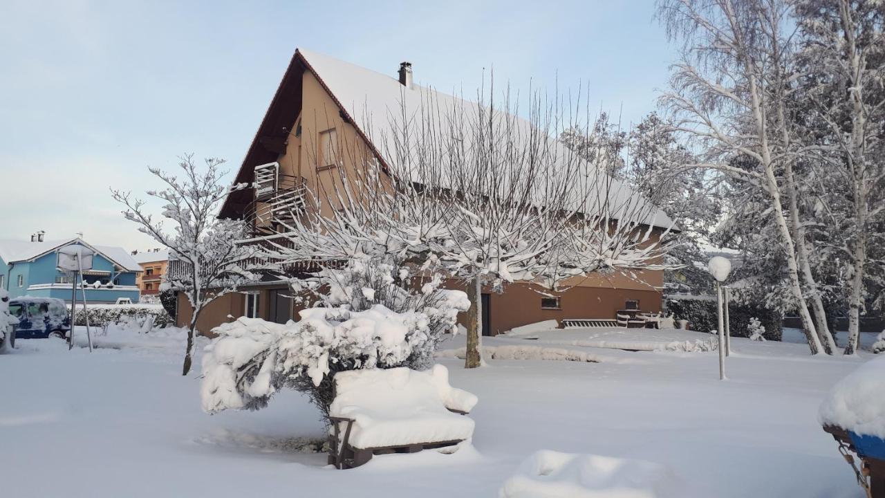 Gite "Le Platane" 45 M2 - Climatise Monswiller Zewnętrze zdjęcie