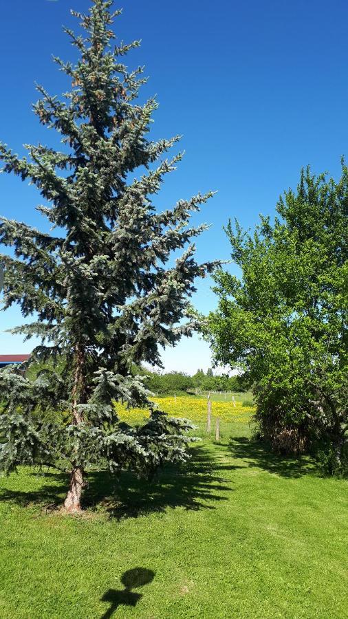 Gite "Le Platane" 45 M2 - Climatise Monswiller Zewnętrze zdjęcie