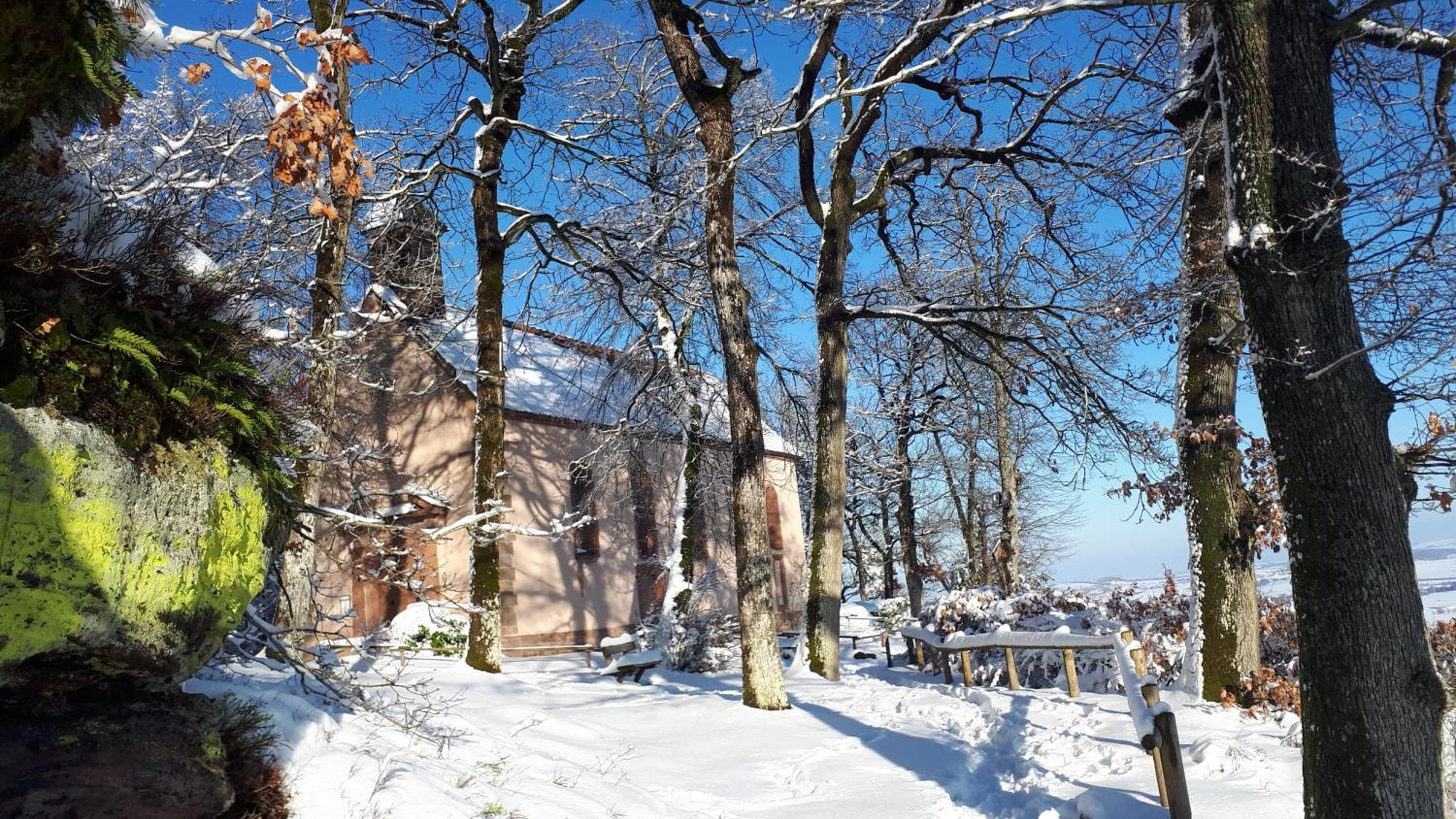 Gite "Le Platane" 45 M2 - Climatise Monswiller Zewnętrze zdjęcie